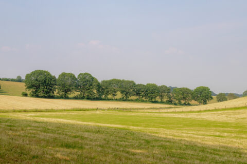 Terrain of countryside with slope hills and green meadow, Summer landscape farmland and grass field under blue clear sky, Gelderland province, Occupying the centre-east of the country, Netherlands.