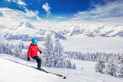 Trees covered by fresh snow in Austria Alps from Kitzbuehel ski resort - one of the best ski resort in the workd with 54 cable cars, 170 km prepared ski slopes and place of famous hahnenkamm races.